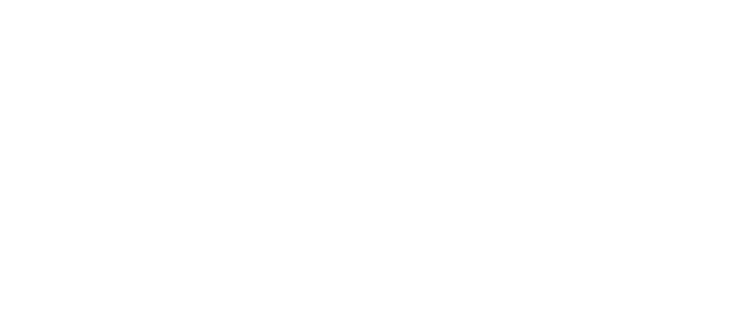 CCPSoft logo