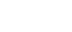 Danysoft logo