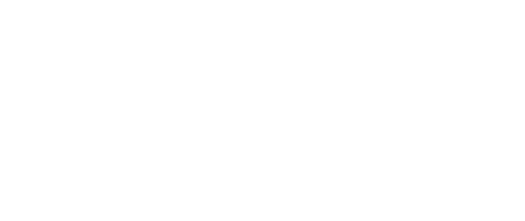 Insight logo