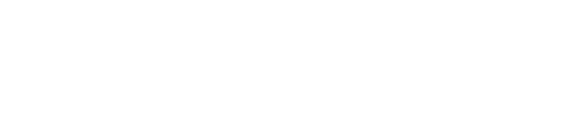 MegaSoft logo