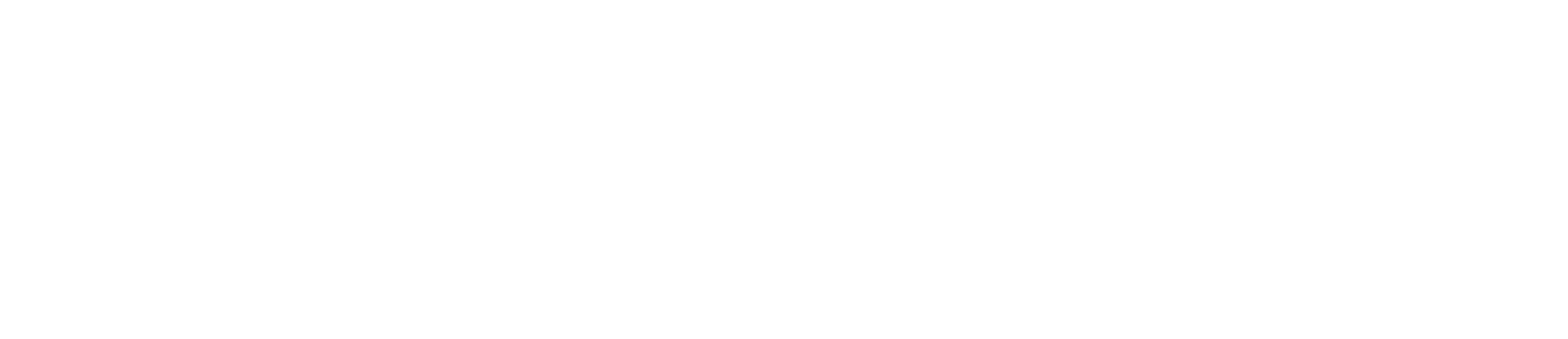 Softmizer logo